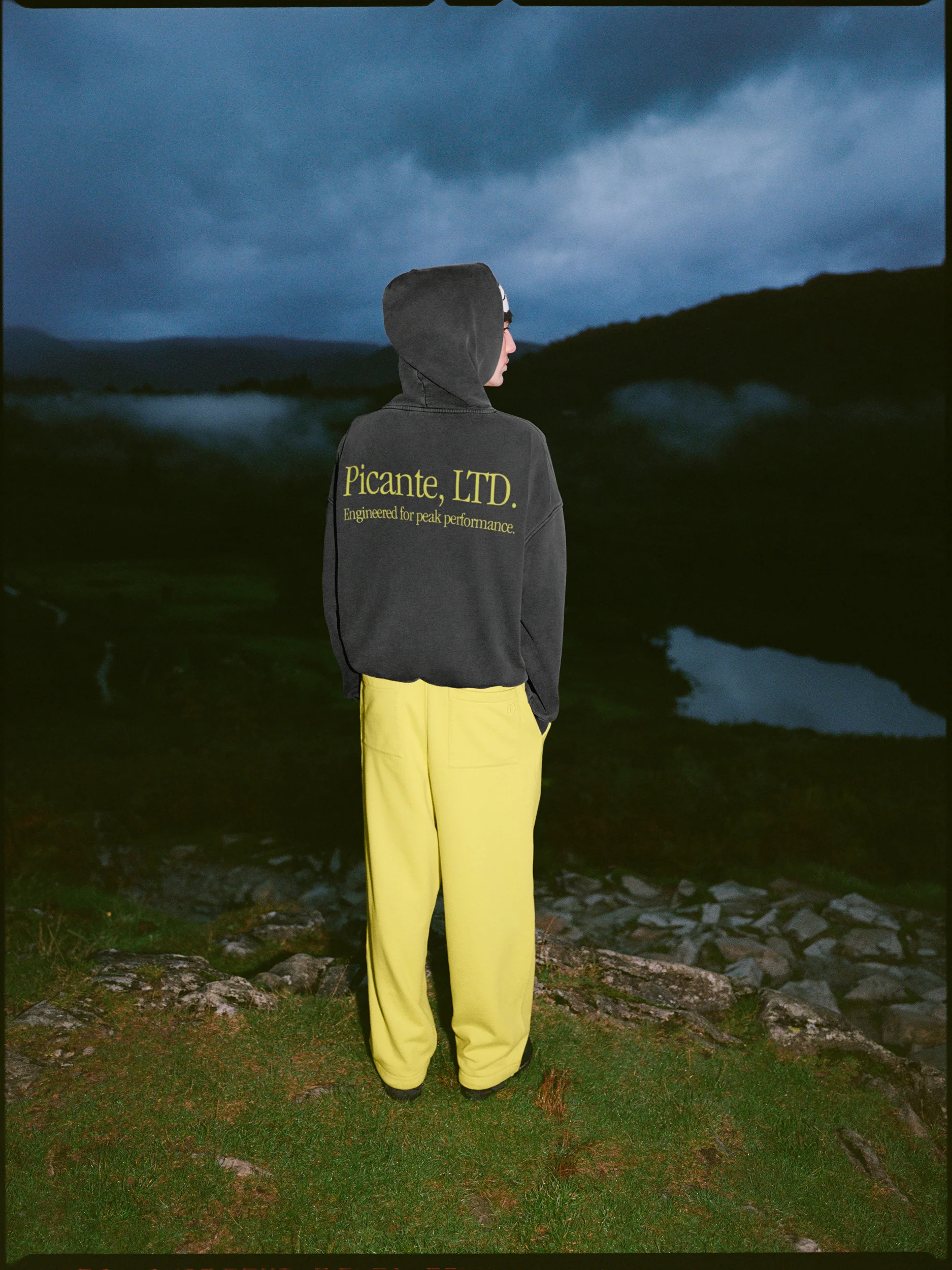 Butterfly Hoodie - Image 4